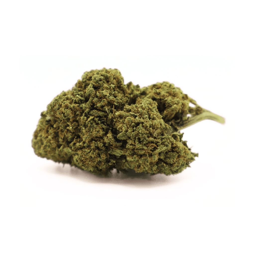 Gorilla Glue