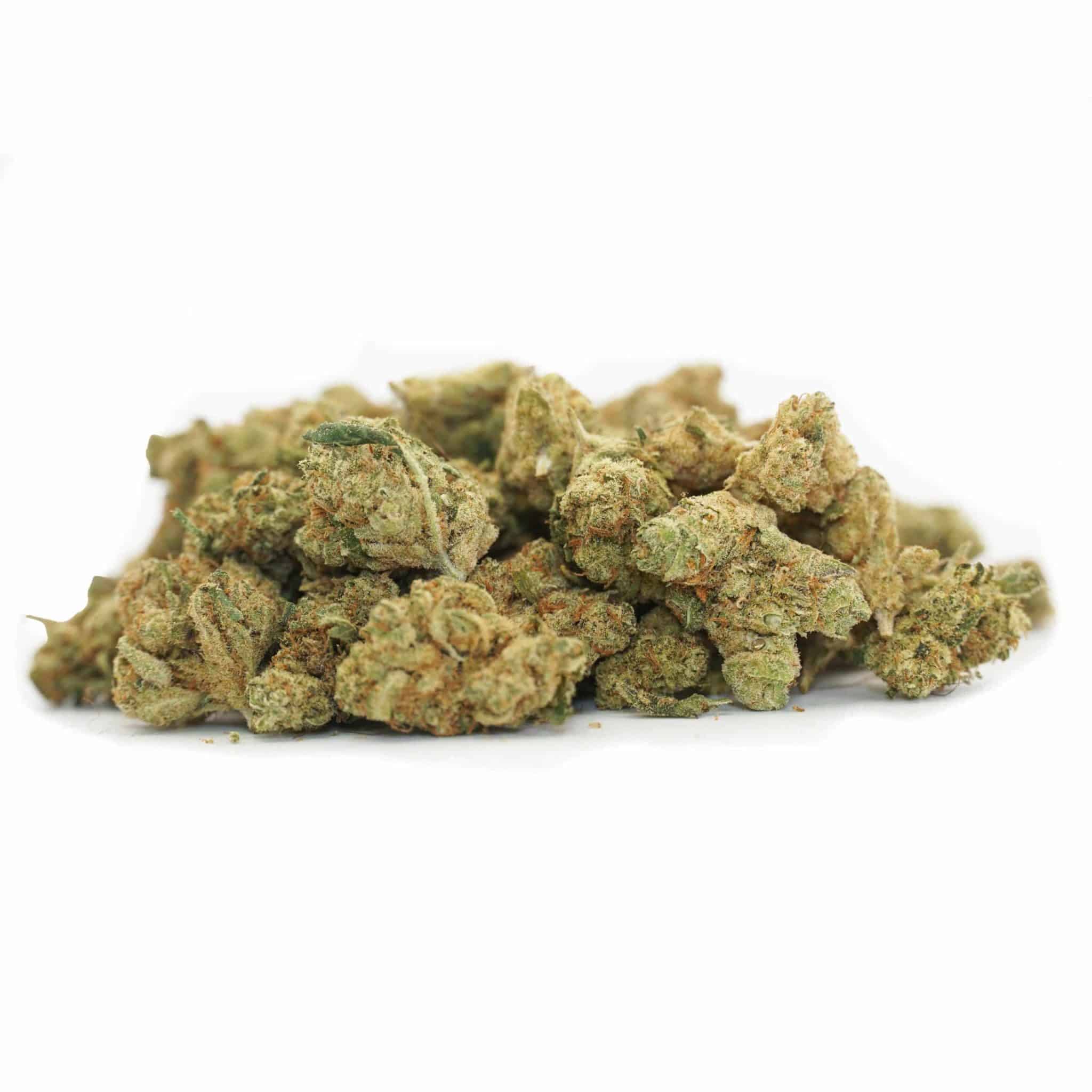 Mini Buds Indoor - Amnesia Hy Pro - Imagen 2