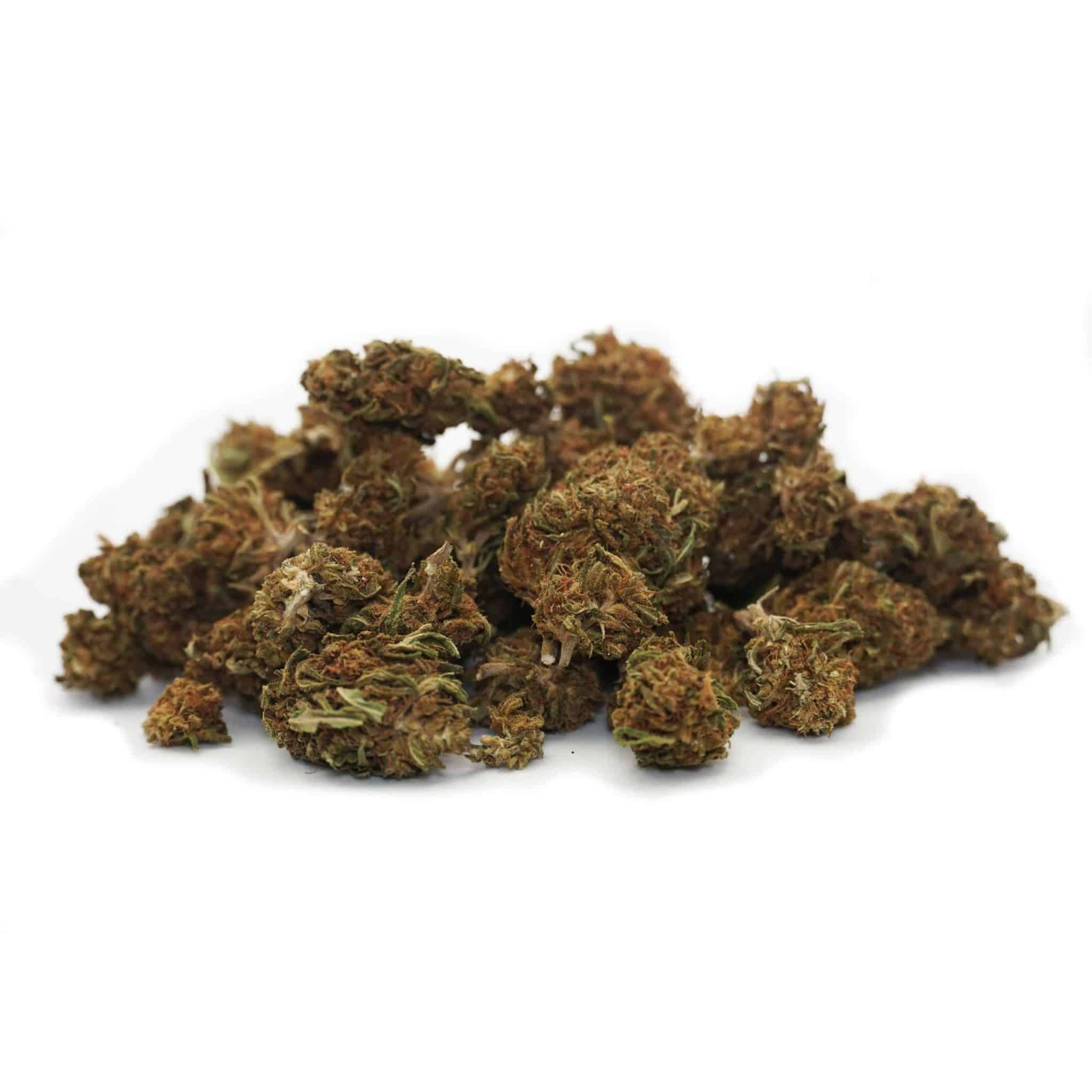 Mini Buds - Mango Haze (Cosecha 2024) - Imagen 2