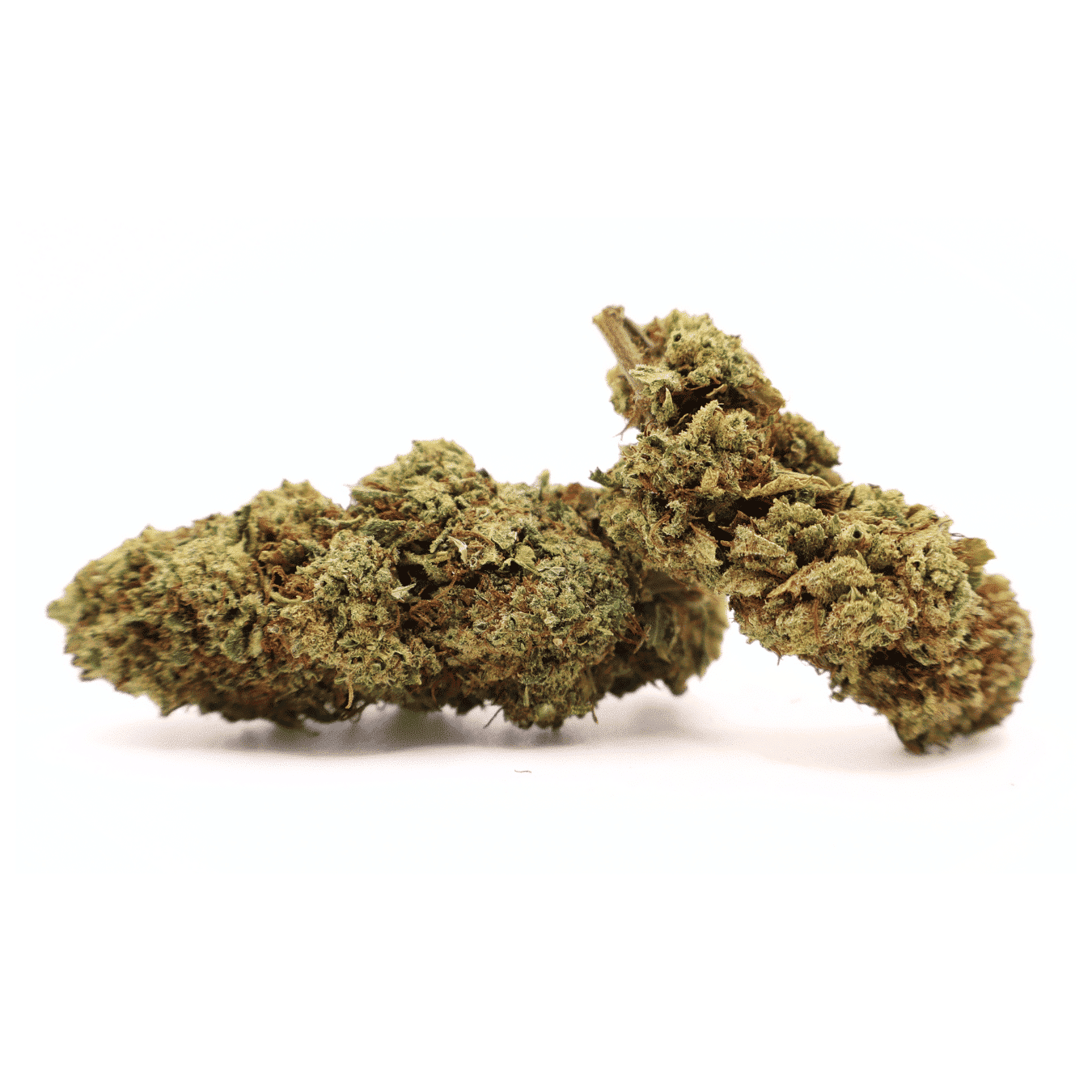 Flor de CBD Super Lemon Haze - Imagen 2