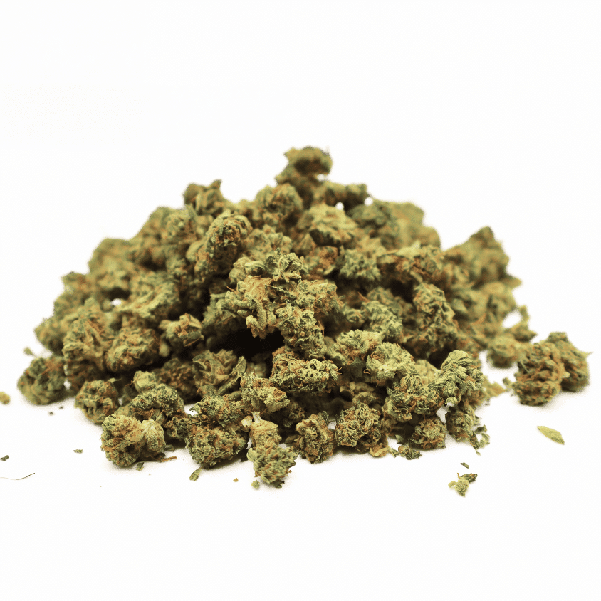 MINI BUDS INDOOR - APPLE FRITTER