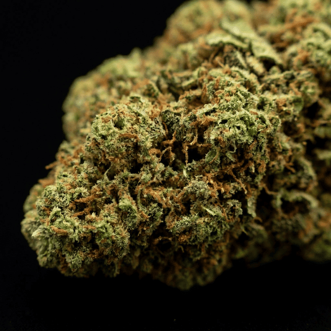 Flor de CBD Fruit Cake al por mayor - Imagen 3