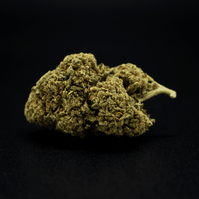 Flor de CBD Gorilla Glue al por mayor - Imagen 2
