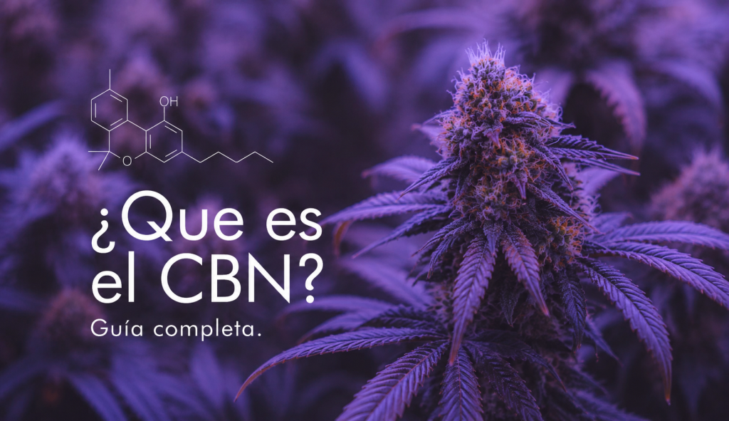que es el CBN