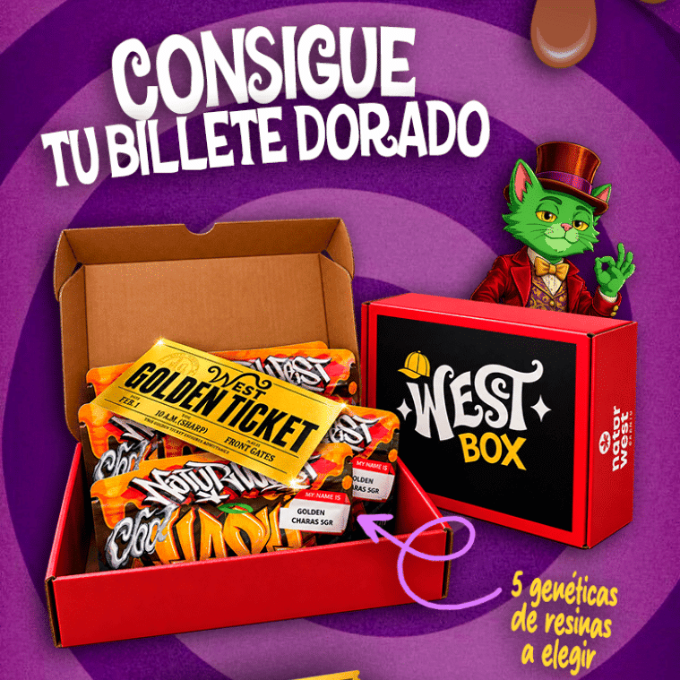 West Box- 25GR Hash CBD - Imagen 2