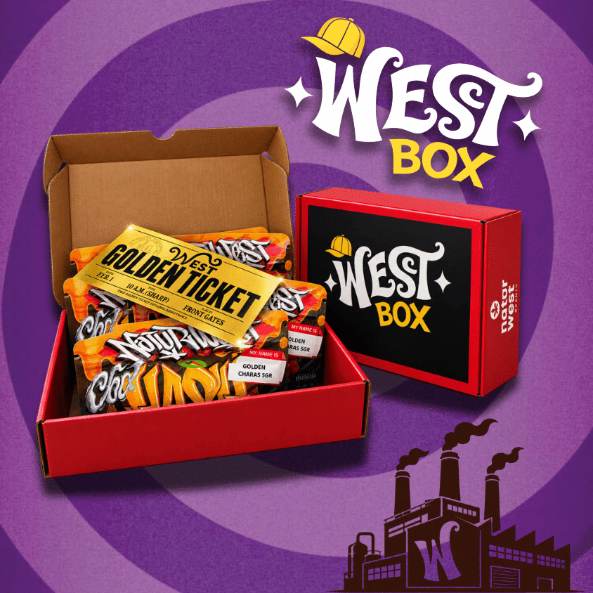 West Box- 25GR Hash CBD